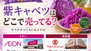 紫キャベツはどこで売ってる？イオン・スーパーで買える場所と売ってない理由を解説