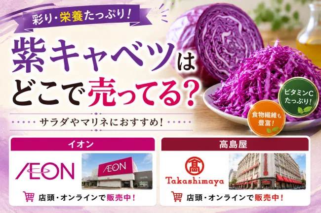 紫キャベツはどこで売ってる？イオン・スーパーで買える場所と売ってない理由を解説