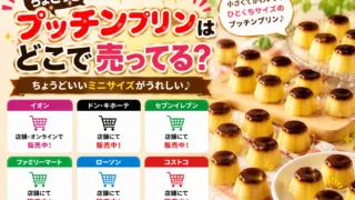 ちょこっとプッチンプリンはどこで売ってる？ドンキ・イオン・コンビニの売り場を徹底調査