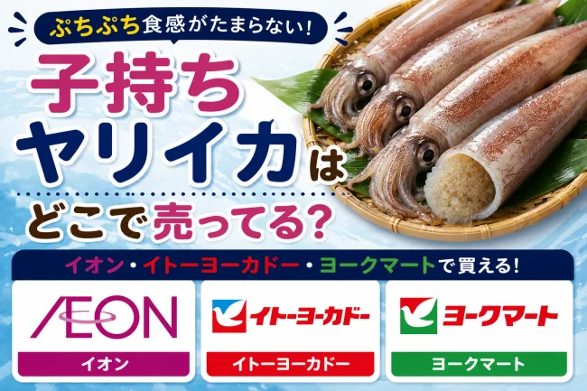 子持ちヤリイカはどこで売ってる？魚屋・スーパー・通販で買える場所と値段を解説