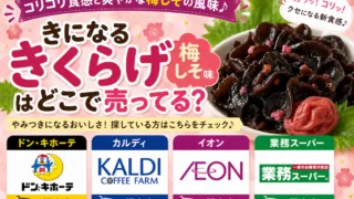 きになるきくらげ梅しそ味はどこで売ってる？ドンキ・カルディ・通販で買える場所と値段を解説