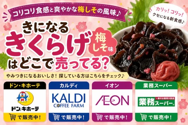 きになるきくらげ梅しそ味はどこで売ってる？ドンキ・カルディ・通販で買える場所と値段を解説