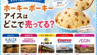 ホーキーポーキーアイスはどこで売ってる？カルディ・成城石井・通販で買える場所と値段を解説